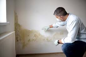 Trusted Cleveland, GA Mold Inspection Experts